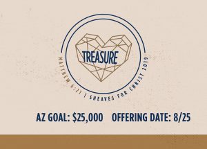 SFC Treasure Arizona Goal